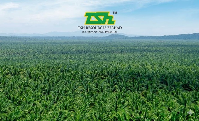 Image from: Untung bersih TSH Resources merudum 50% kepada RM28.9 juta pada suku pertama 2026 ekoran penurunan harga dan pengeluaran sawit
