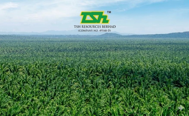 Image from: Untung TSH Resources dijangka susut pada FY2026 susulan pengeluaran buah sawit lebih rendah – Penganalisis