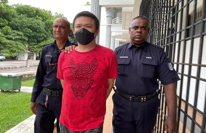 Tunjuk Isyarat Lucah, Pandu Secara Berbahaya, Pemandu Lori Dipenjara Sehari