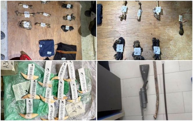 Ops Bersepadu Khazanah Bongkar Aktiviti Pemburuan Haram, 8 Warga Myanmar Ditahan