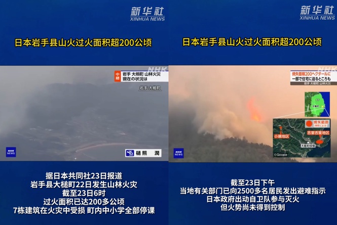 日本岩手县山火过火面积接近1200公顷