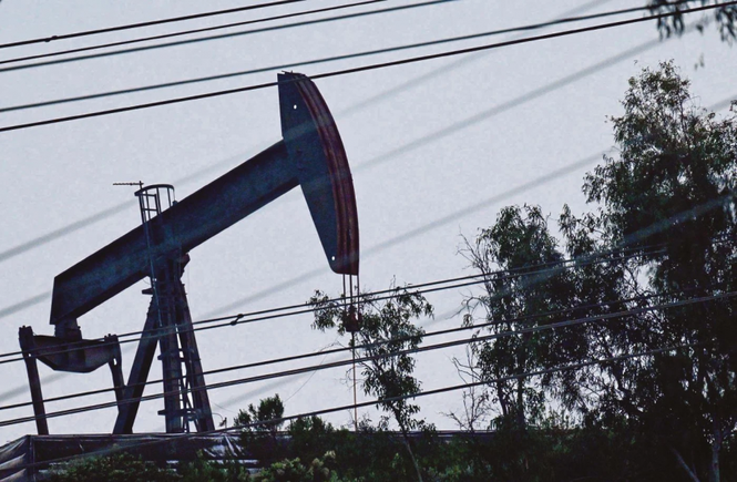 阿联酉退出OPEC 俄罗斯:国际油价或下跌