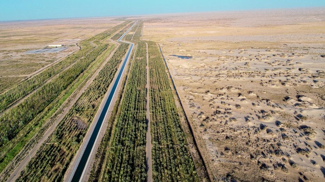 全球过半土壤状况堪忧 威胁粮食供应与生物多样性