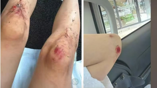 女游客独游仙本那 陌生男子闯房图侵犯