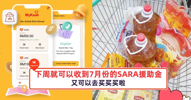 Image from: 下周就可以收到7月份的SARA援助金!又可以去买买买啦