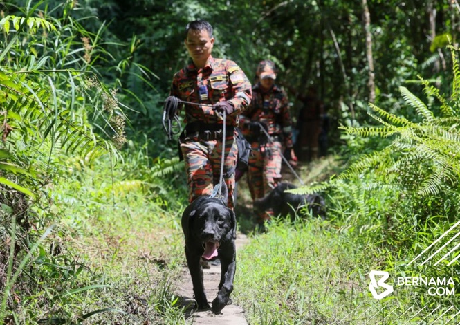Image from: Remaja Hilang: Masih Gagal Dikesan, Kawasan Pencarian Diperluas