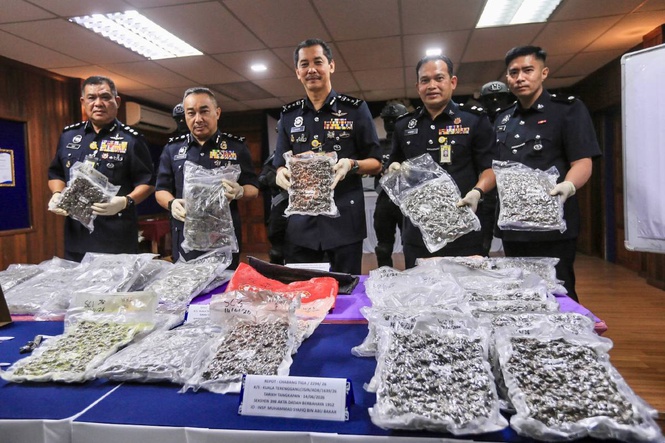 Image from: Rumah Pusaka Jadi Stor Ganja, Dua Beradik Ditahan Bersama 22KG Bahan Terlarang