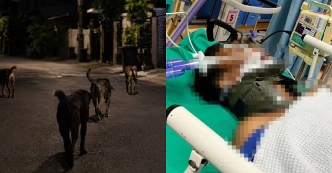Image from: “Tak Perlu Bagi Duit, Saya Masih Boleh Cari Rezeki” – Hampir Buta Sepenuhnya, Budak 46 Tolak Sumbangan Wang