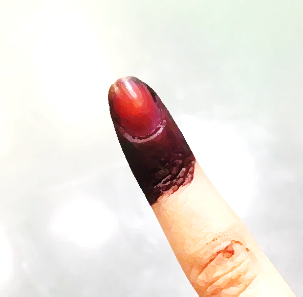 Image from: Election results - Slogans and Sambal