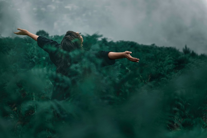 Image from: Cultivating Inner Peace: The Path of Letting Go in Today's World