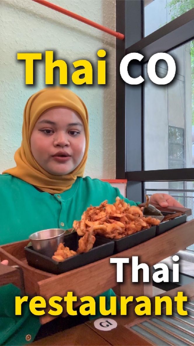 Thaico The Linc