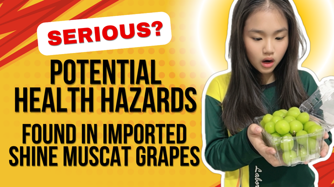 Image from: Does Our Body Need Pesticides Too? #SihatCergas