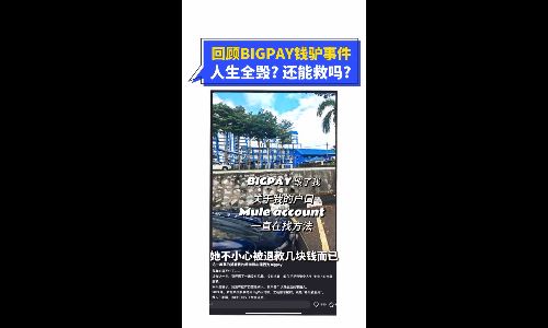 回顾BIGPAY钱驴事件:人生全毁?还能救吗?