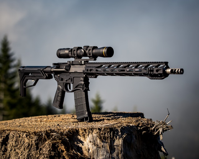 Image from: Border Battles: Malaysia's Fight Against Illicit Gun Trafficking