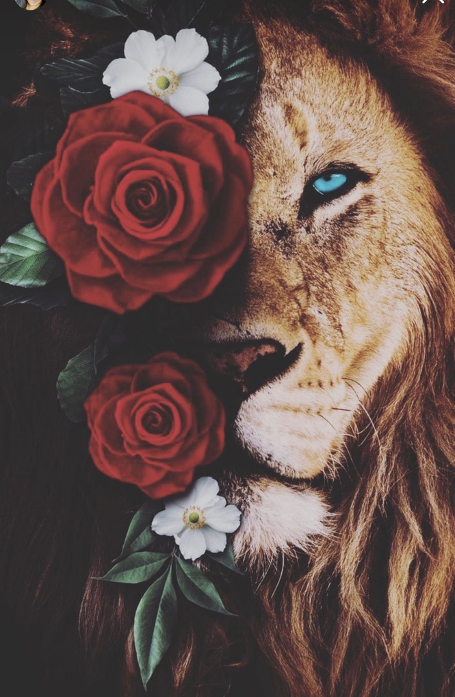 Image from: Opinion: Staying loyal in this cruel world