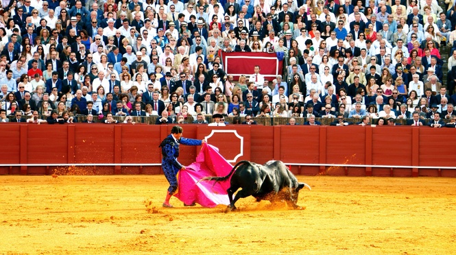 Image from: Malaysian Bull Ring: A Story of PMX and Abahmoo