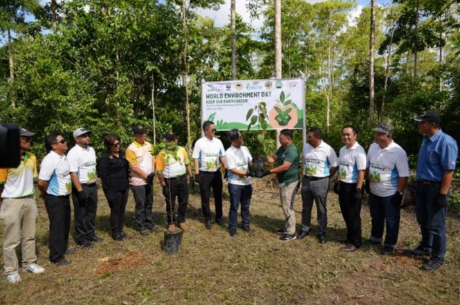Image from: Menuju Kehijauan Lestari: Kejayaan Sawit Kinabalu Dalam Program Penghijauan Malaysia