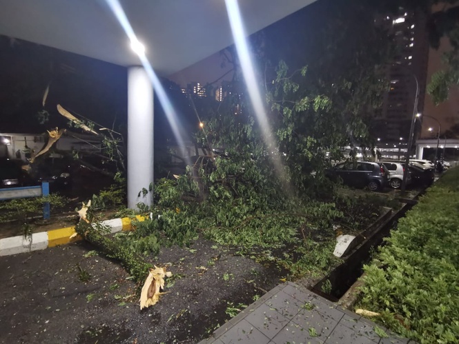 KL Storm: Big tree Uprooted at Cheras Condo