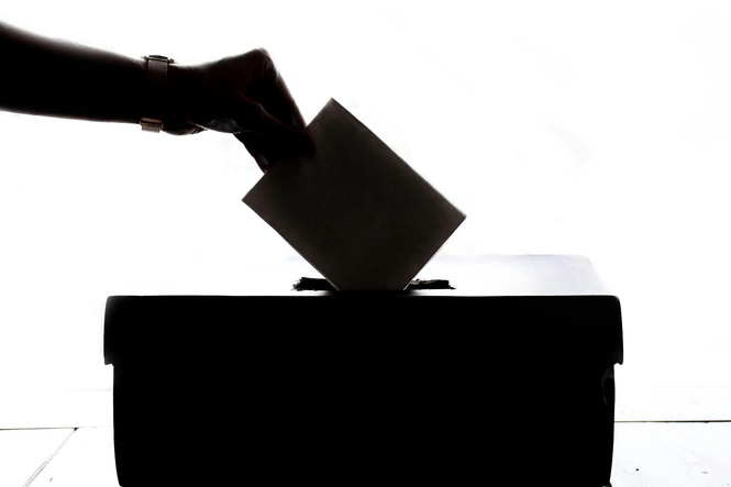 Image from: Opinion: Voters are more powerful than they can imagine