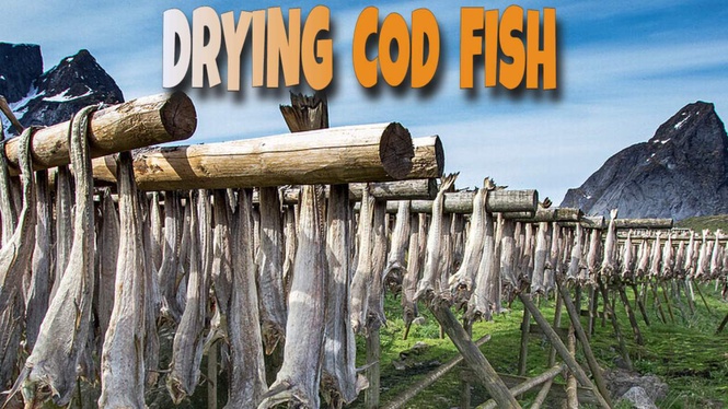 Codfish Drying Tradition