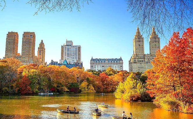 Image from: Ismail Sabri found Inspiration for a garden at NY City's Central Park is yet to be inspired to call a GE!
