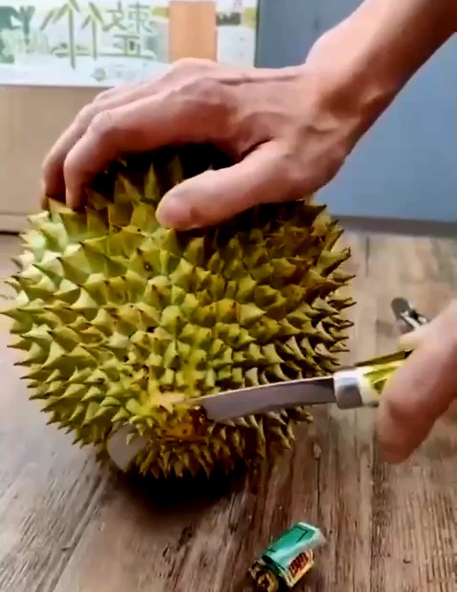 Image from: Prying open durian without tears and other innovations that PMX may want to encourage Madani society to develop