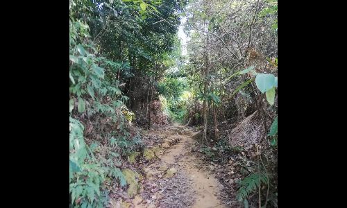 Hiking Place for Beginner - SACF + Ketumbar Hill