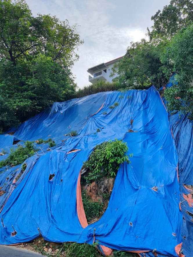 Image from: Lack Of Slope Maintenance Awaiting Next Catastrophe