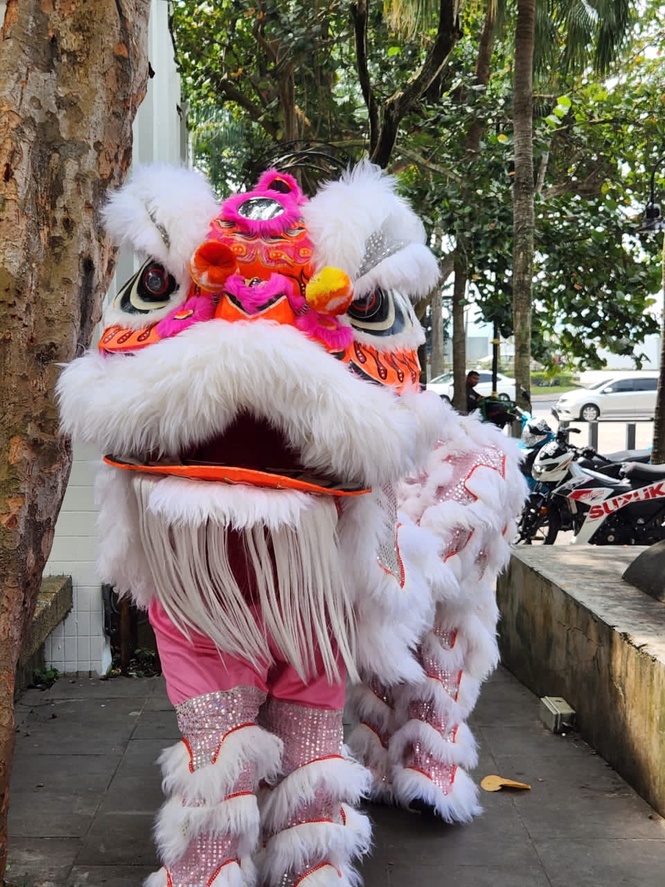 Image from: Fostering Unity Through Cultural Activities #CNY2023