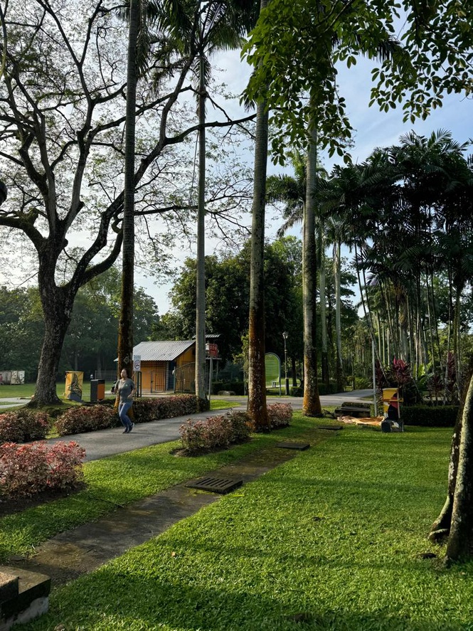 Image from: City Hustle, Nature Muscle: Your Ultimate Guide to KL & PJ's Urban Fitness Havens