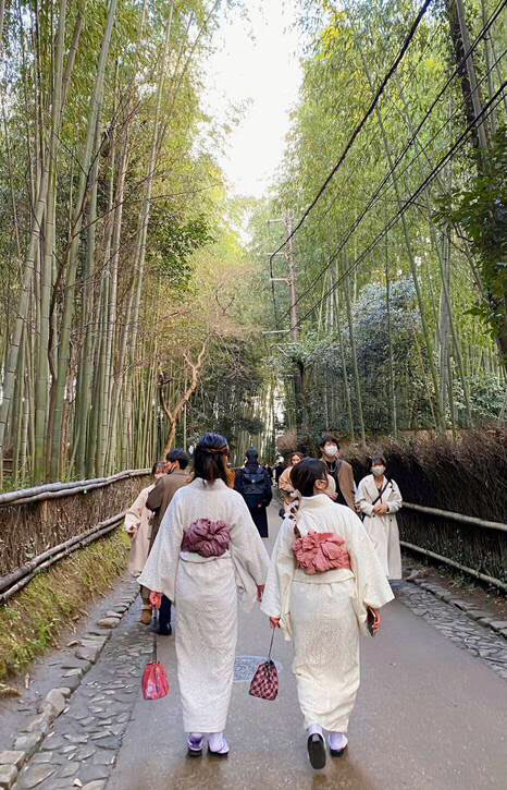 Image from: The power of local young travelers as the major force that spur the growth of domestic tourism in Japan