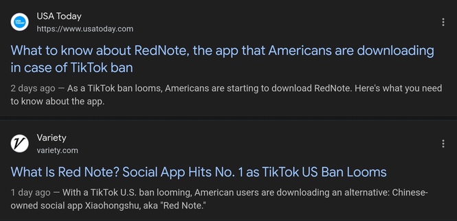 Image from: The Digital Resistance: How Americans are Defying the Tiktok Ban
