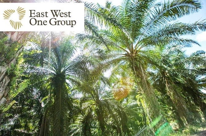 Image from: East West One Group种植者会议成功落幕 复苏与重组活动提案获通过