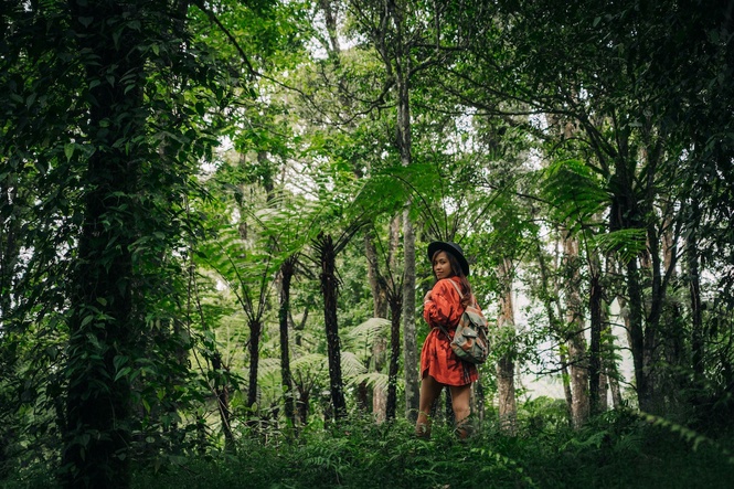 Image from: Coping with Eco-Anxiety: 8 Steps to Navigate a Warming World