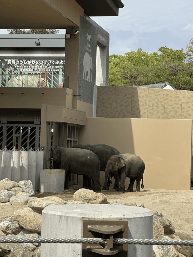 Image from: Gajah Dara, Amoi, Kelat – Kronologi & Petisyen Pulangkan DAK