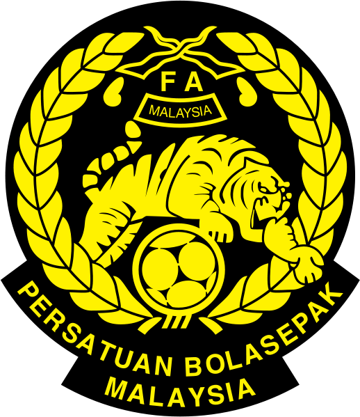 Image from: Hadi Fayyadh Hampir Menitis Air Mata Terima Panggilan Sulung Harimau Malaya