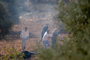 Image from: Peneroka Haram Israel Serang Penuai Zaitun Palestin di Tebing Barat yang Diduduki