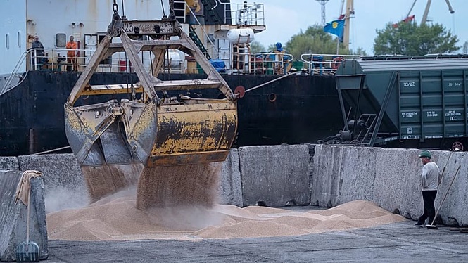 Ukraine summons Israel's ambassador over allegedly stolen grain being shipped to Haifa