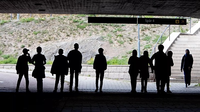 UN human rights office rebukes Sweden for deporting disabled child twice to Albania