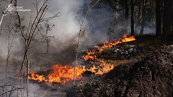 Large forest fire burning in Chernobyl exclusion zone after drone crash, Kyiv says
