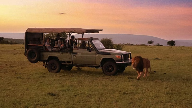 Africa’s hottest new safari lodges are redefining luxury travel in the wild