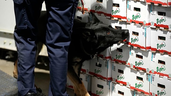 New health risks emerge as Europe’s drug market grows more complex, EU agency warns
