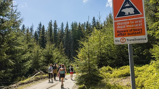 Forget the Camino de Santiago. Romania’s Via Transilvanica hiking trail is wild, welcoming and quiet