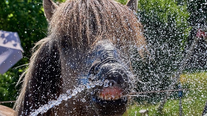 Germany breaks heat record again