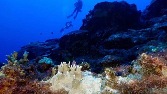 Record-high ocean heat could fuel sea level rise and extreme weather on land