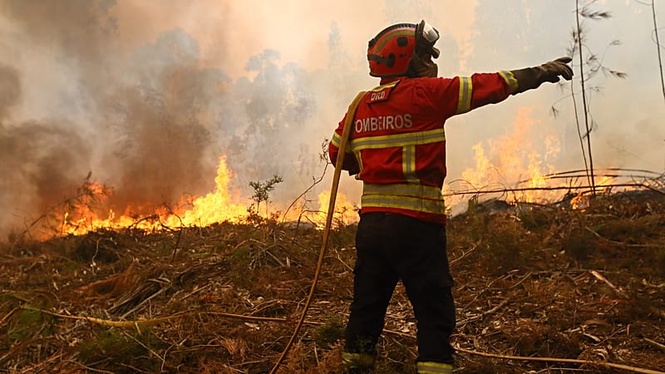 Portugal: over 1,000 firefighters battle wildfires on the ground
