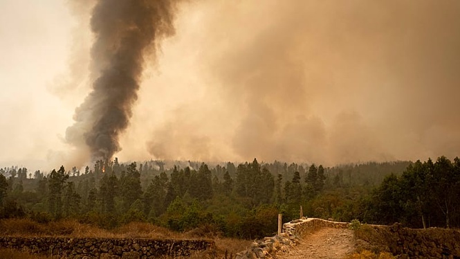 Forest fire figures in Spain in 2026