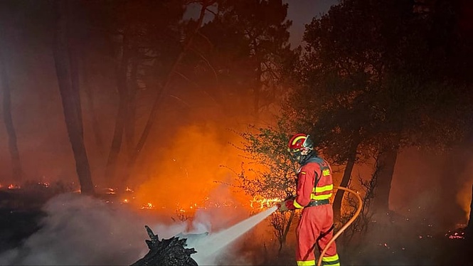 Spain's largest wildfire of the year burns 12,000 hectares in Zaragoza