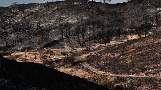 Firefighters battle major wildfire as thousands of hectares burn in central Spain