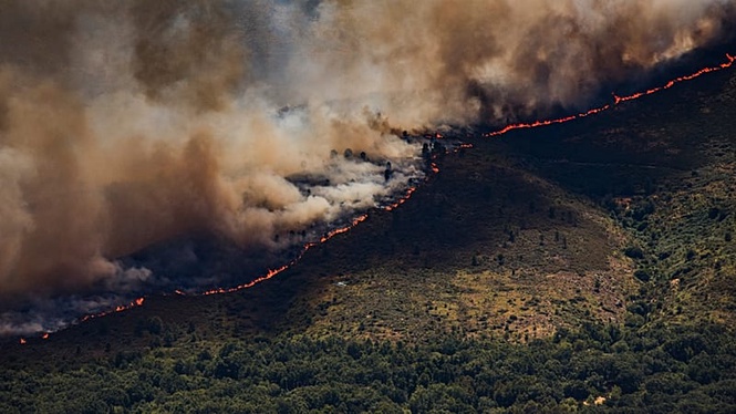 Wildfires up 57% in Europe in just four years, WHO warns